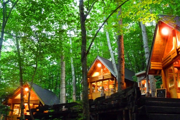 Sapporo Day Tour: Biei Blue Pond & Lavender Farm with Lunch 7:30 Pickup Point + Flower Sea Ticket (with Buffet + Melon)