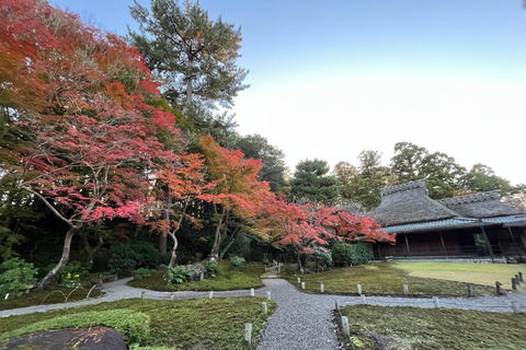 نارا وأراشيياما: جولة بالحافلة لمشاهدة الغزلان والخيزران والمعابدمن كيوتو