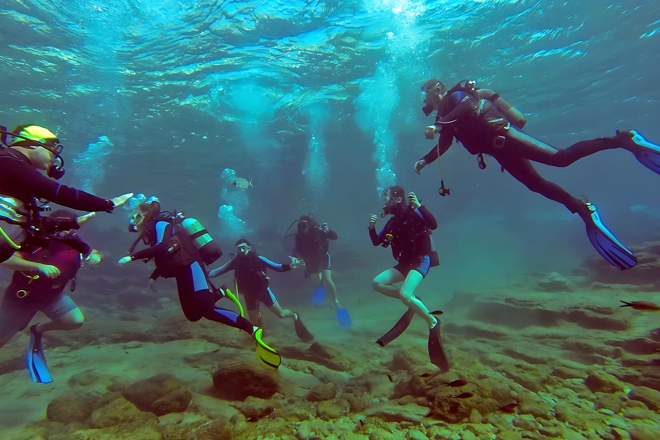 Bodrum: Tauchen und Unterwassertour mit Mittagessen und Abholung