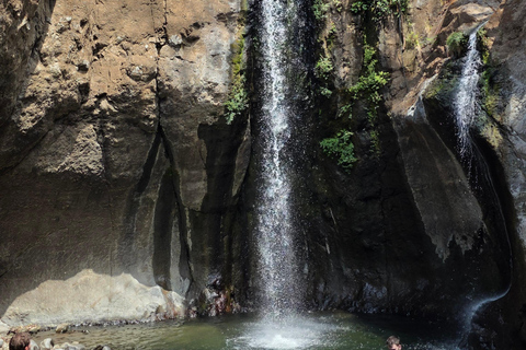 Tamanique Waterfalls Hike & El Tunco Beach Tour