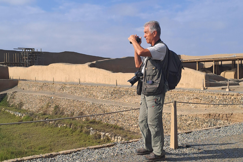 Trujillo: Chan Chan & Gastronomic Experience For Hotel Guests in Trujillo - Shared Group Tour