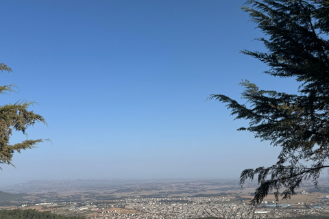 Addis Ababa: Customizable Layover Tour with Transfers