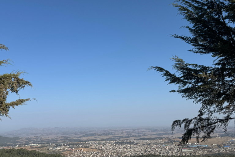 Addis Ababa: Customizable Layover Tour with Transfers