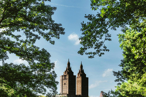 Lo mejor de Central Park: Un tour a pie panorámicoTour privado: Un tour a pie por Central Park