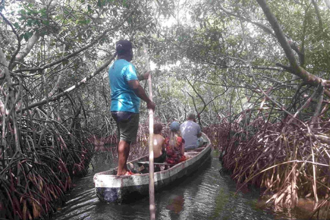 Shared Cartagena Mud Volcano + Mangrove Tour including lunch