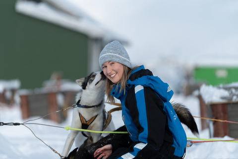 Tromsø: Easy Dog Sledding Tour & Kennel Visit