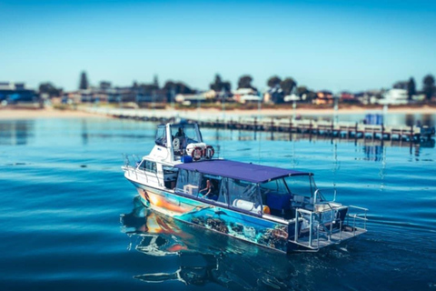Rockingham: Lobster Catch and Keep Tour with Refreshments Lobster Spectator (No Catch & Keep)