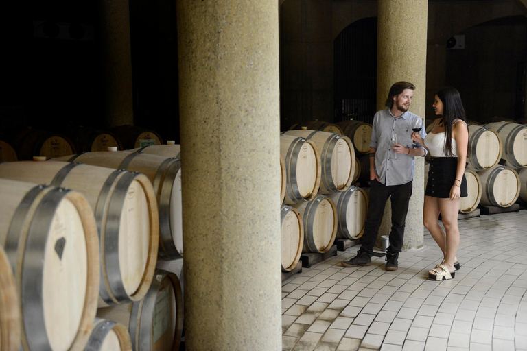 Expérience Haras : escapade dans les vignobles, vin et dégustationsExpérience Icono – 4 dégustations de vin