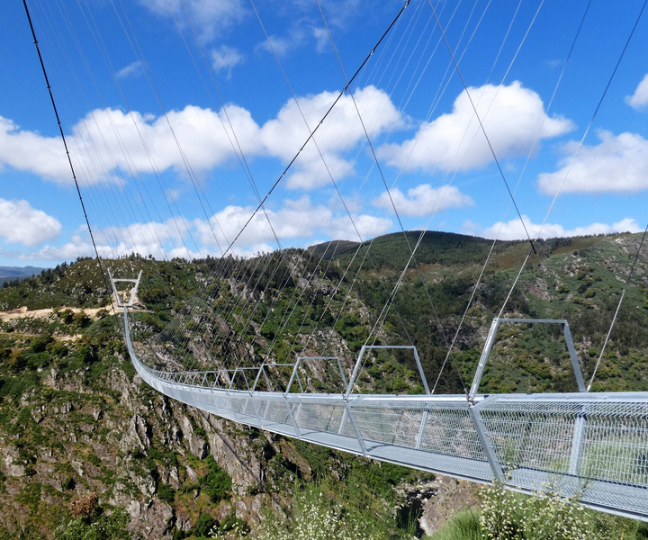 Da Porto: tour guidato del Ponte 516 Arouca e delle passerelle Paiva