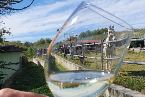 Monferrato: Horseback Riding in Nature with Lunch at a Farmhouse