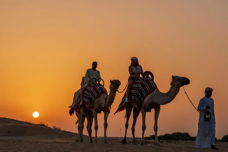 Doha: Desert Safari with BBQ Dinner, Camel Ride & More