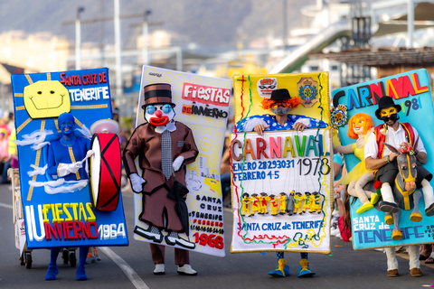 Excursion to the Santa Cruz de Tenerife Carnival Parade from Puerto de La Cruz