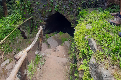São Miguel: Moinho do Felix-Wanderung mit Besuch der Teefabrik