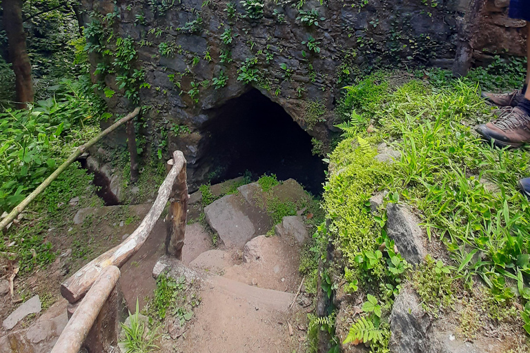 São Miguel: Moinho do Felix-Wanderung mit Besuch der Teefabrik