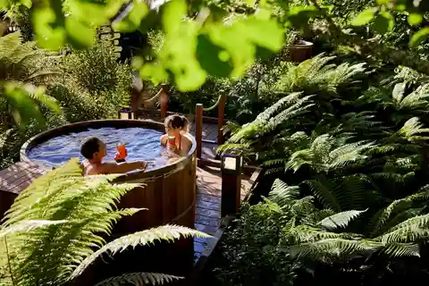 Auckland: Excursão de um dia a Rotorua com passeio pelas árvores de Redwoods e banheiras de hidromassagem