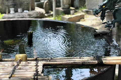 Kyoto Amanohashidate, excursion dans la baie d'Ine avec bateau/téléphérique en optionDépart de la gare d'Osaka à 8 h 40 - Comprend le téléphérique et la croisière
