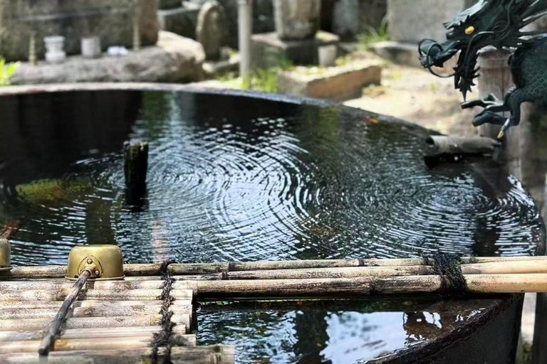 Kyoto Amanohashidate, excursion dans la baie d'Ine avec bateau/téléphérique en optionDépart de la gare d'Osaka à 8 h 40 - Comprend le téléphérique et la croisière