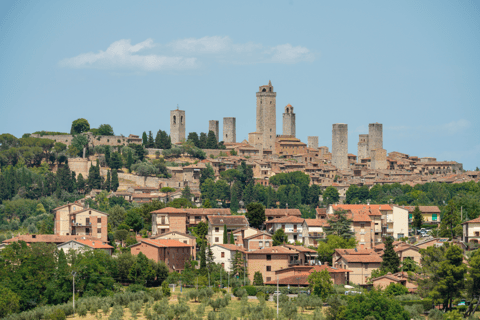 Florence: Pisa, Siena, & San Gimignano Day Trip with Lunch VIP SMALL GROUP