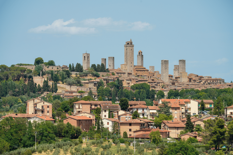 Florence: Pisa, Siena, & San Gimignano Day Trip with Lunch VIP SMALL GROUP