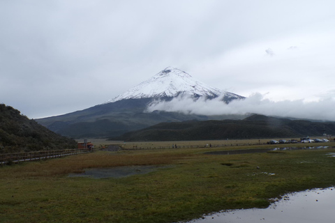 Vanuit Quito: Hele dag Cotopaxi en Quilotoa