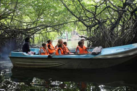 Bentota River Safari, Temple, Turtle Hatchery & Brief Garden Bentota Private Tour from Colombo, Negombo or Mount Lavinia