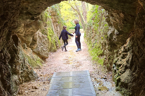 From Madrid: Discover the Monasterio de Piedra and the Kingdom of Aragon Explore the Stone Monastery and discover Sigüenza in a small group