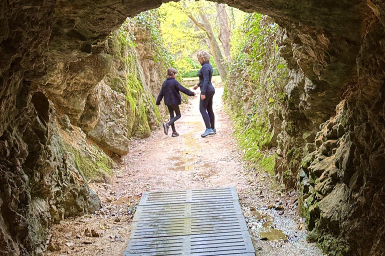 From Madrid: Discover the Monasterio de Piedra and the Kingdom of Aragon Explore the Stone Monastery and discover Sigüenza in a small group
