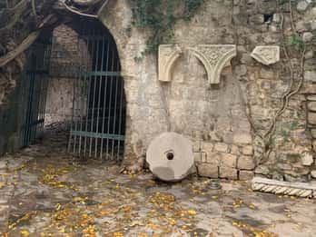 Z Tirany: Skodra i Ulcinj, Czarnogóra – wycieczka jednodniowa