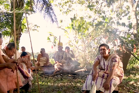 Puerto Maldonado: Reserva Nacional de Tambopata 4 DíasMadre de Dios: Cultura y Aventura 4 días