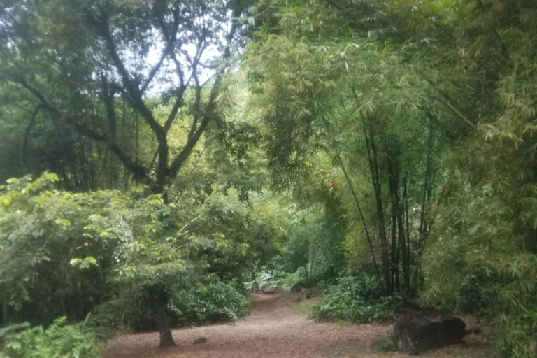 St. Vincent: Dark View Falls Tour