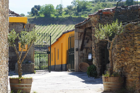 From Porto: Small-Group Douro Valley Wine Tour Lunch & Boat