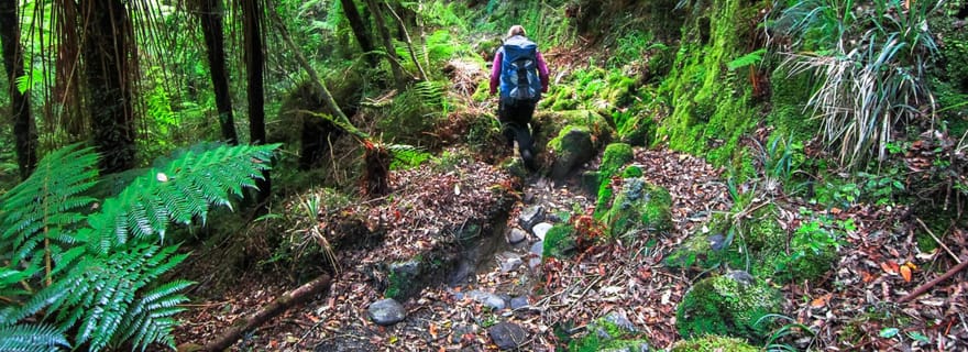 Khao Lak : Safari privé dans la jungle de Khao Sok avec rafting en bambou