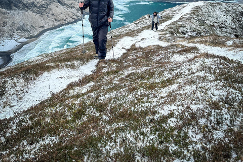 Reine: Winter Snowshoe Hike to Ryten – With Local Guide