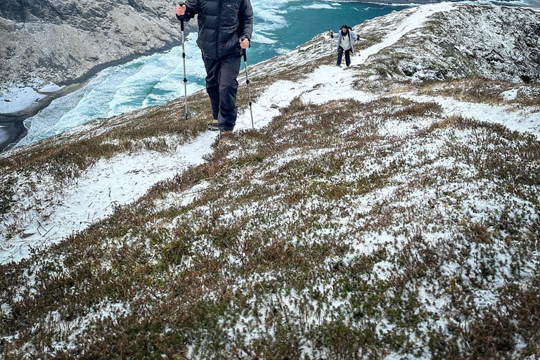 Reine: Winter Snowshoe Hike to Ryten – With Local Guide