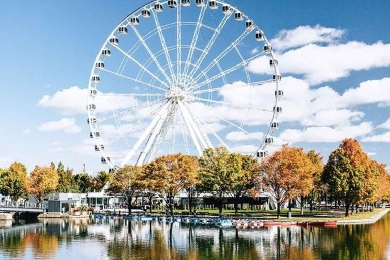 Montreal: excursão a pé pela arte de rua com um guia de turismoMontreal: excursão a pé de 3 horas pela arte de rua