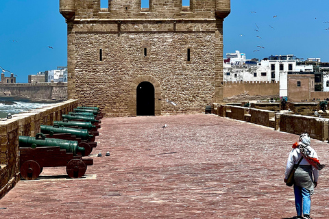 From Marrakech: Essaouira Day Trip with Beach & Medina Essaouira Small Group Day Trip