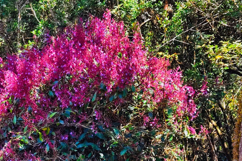 Sri Lanka: 10-Day Wildlife, Culture & Scenic Adventure