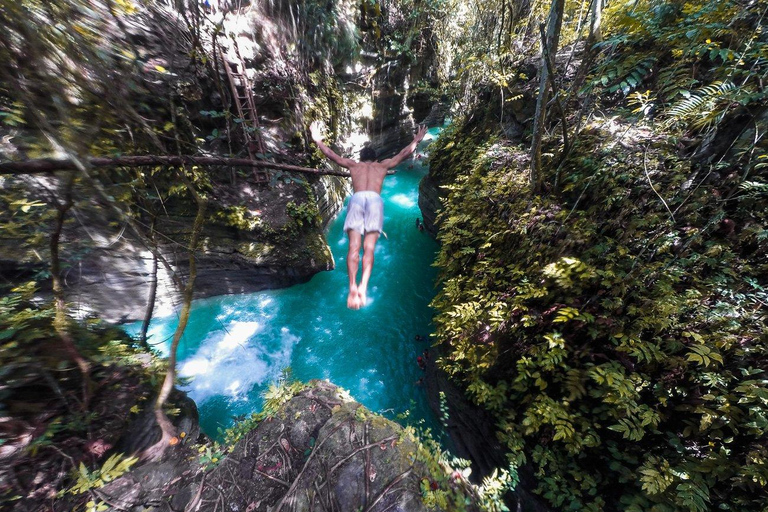 Walvishaai in Oslob, Tumalog-watervallen, Kawasan-watervallen, lunch (PRIVÉ)Oslob walvishaai, Tumalog-watervallen, Kawasan-watervallen, lunch PRIVÉ