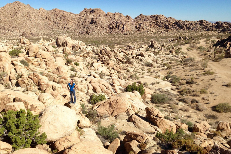 Von San Diego aus: 2-tägige Erkundung und Wanderung in Joshua Tree