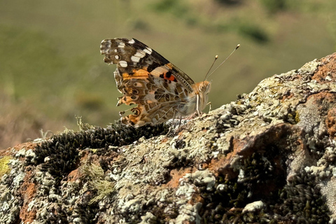 Akaro Village Sunrise & Sunset Wildlife Hike – Entoto