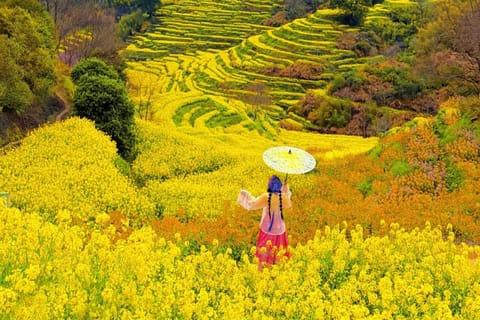 Shanghai: Wuyuan Scenic Area & Wunvzhou Magical 2-Day Trip
