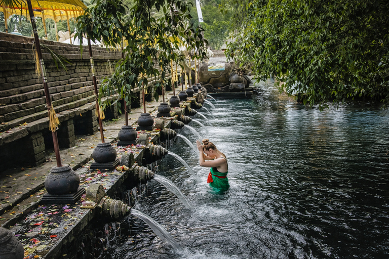Bali: Ubud Highlights Tour with Coffee Plantation