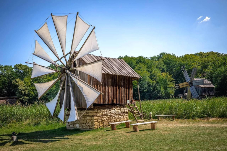 Brașov: Dumbrava Sibiului Museum & Sibiu Day Trip
