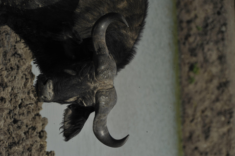 Uganda: 3-Day Lake Mburo National Park Adventure Tour