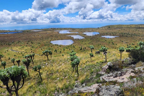 Aberdares: Caminhada guiada pelas Sete Lagoas com vistas panorâmicasAberdares: Caminhada guiada pelas Sete Lagoas com vistas incríveis