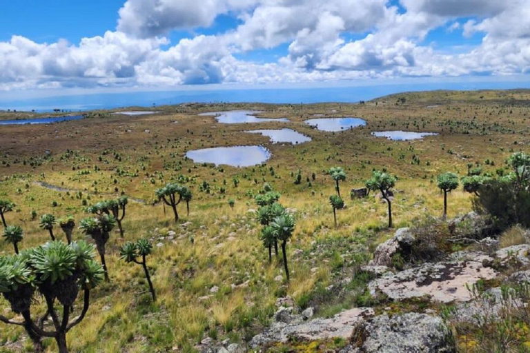 Aberdares: Caminhada guiada pelas Sete Lagoas com vistas panorâmicasAberdares: Caminhada guiada pelas Sete Lagoas com vistas incríveis