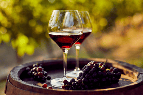 Visite privée de luxe : Sites antiques de Némée et dégustation de vin