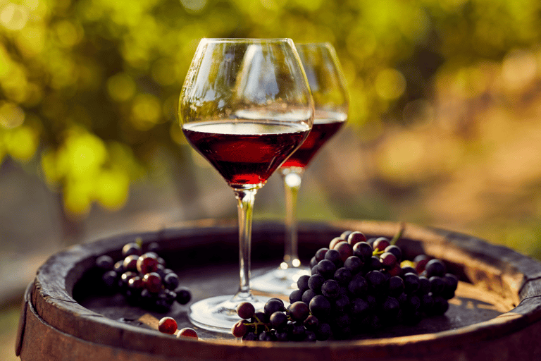 Visite privée de luxe : Sites antiques de Némée et dégustation de vin