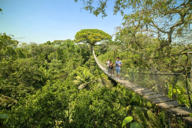 Puerto Maldonado: 5-Day Amazon Adventure, Fishing & Wildlife