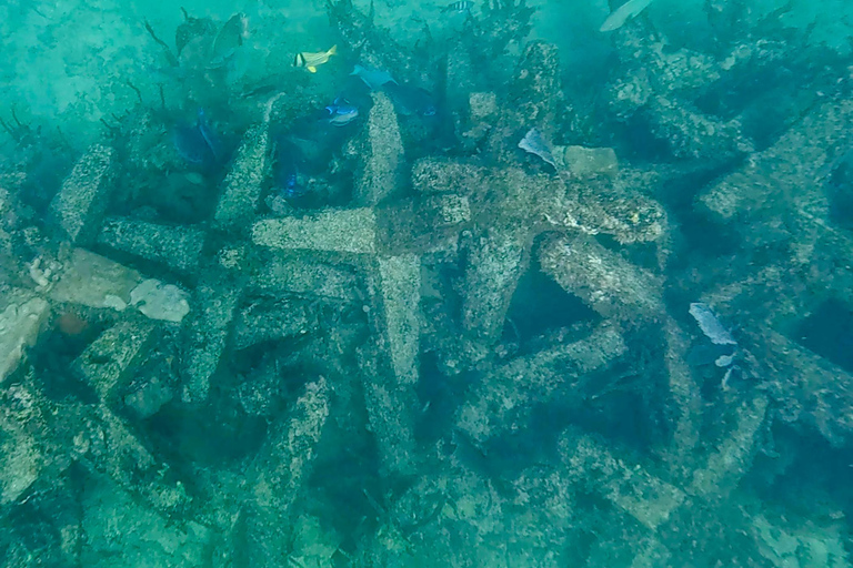 Fort Lauderdale: Ocean Reef Snorkel Tour w/ Snacks & Drinks